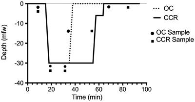 Heart Rate Variability During a Standard Dive: A Role for Inspired Oxygen Pressure?